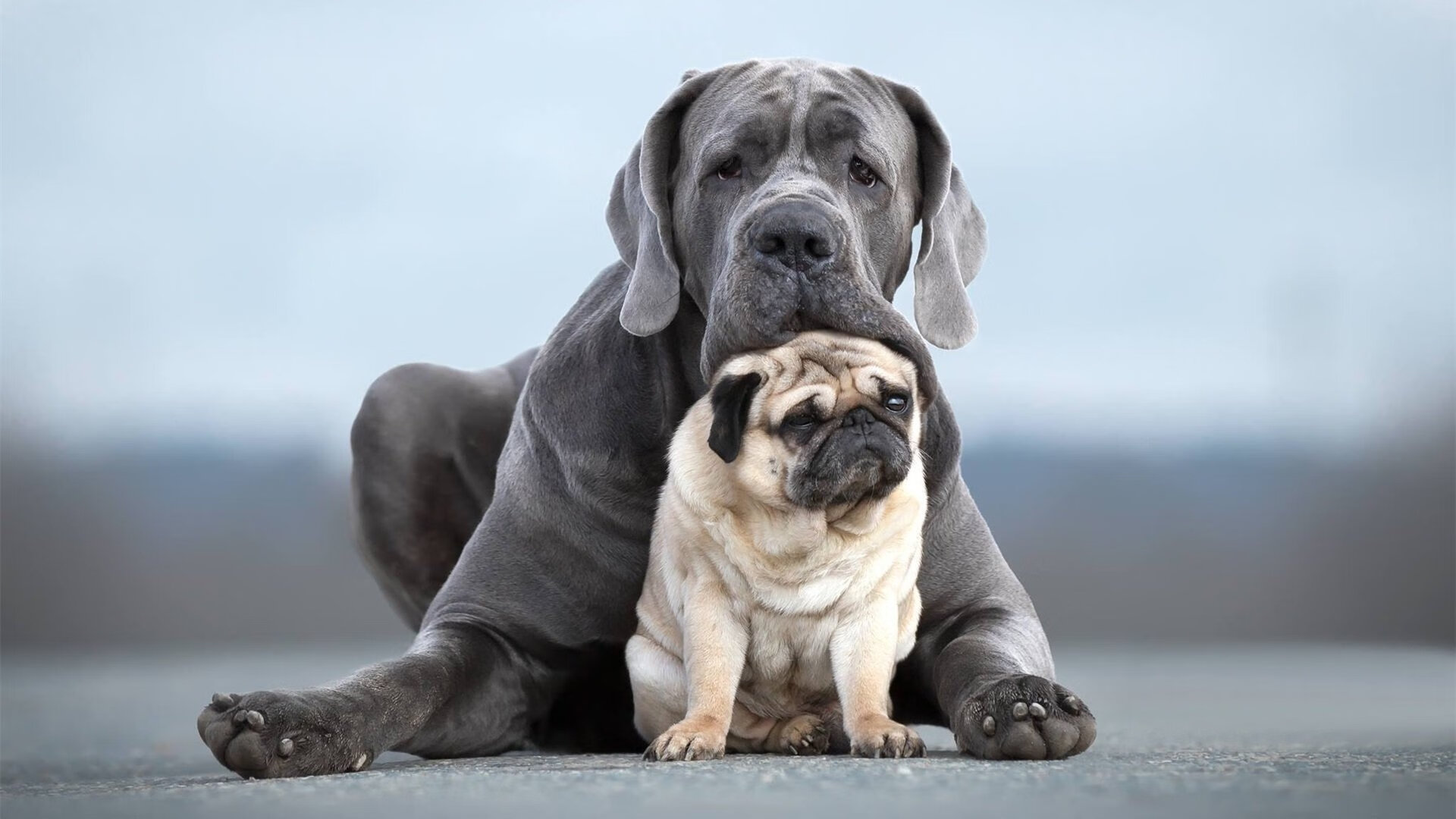 全国青少年排球比赛,培养未来排球明星,全国青少年排球比赛时间