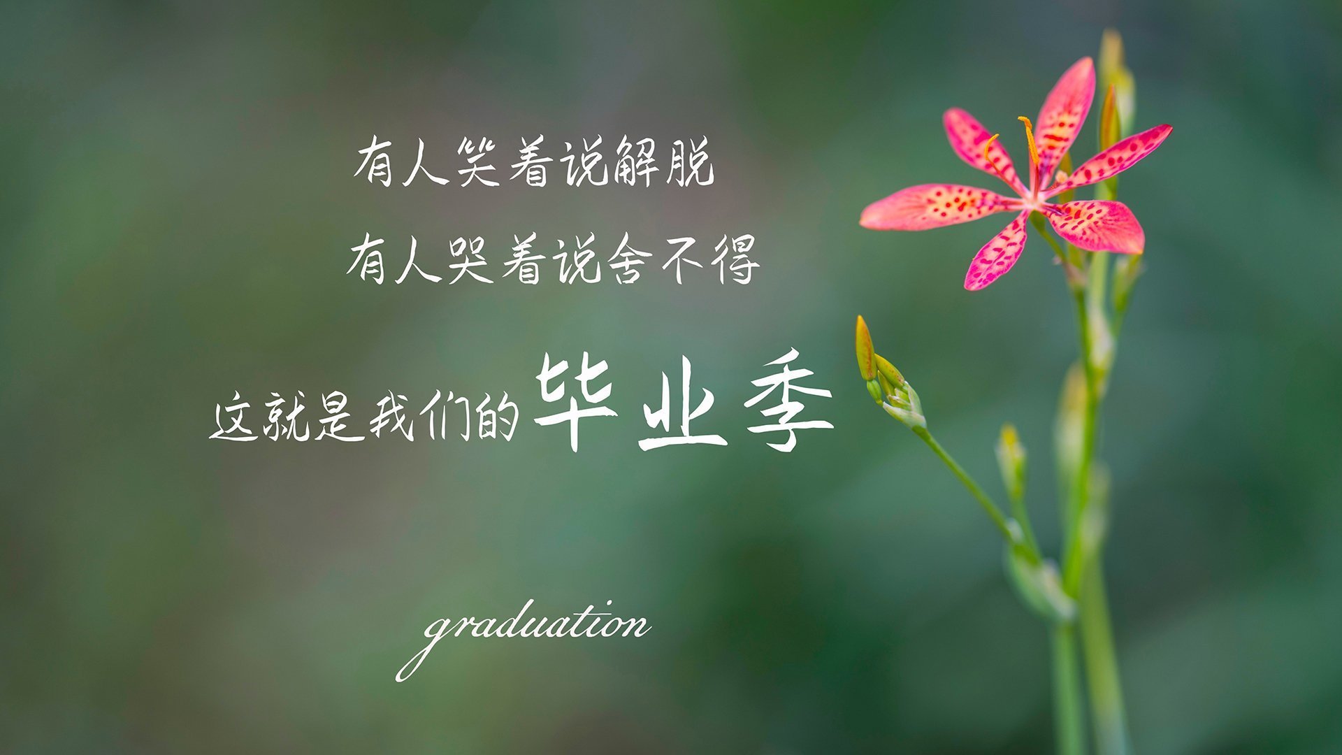 _掘金攻守兼备,战绩不断攀升_,掘金craig