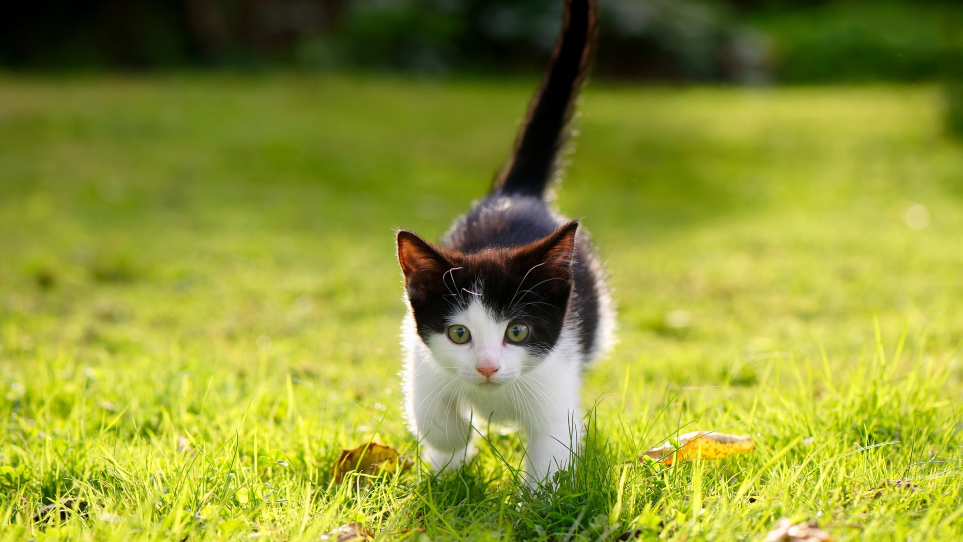 _科技引领的全民跑步：穿越虚拟世界的挑战_，虚拟现实跑步