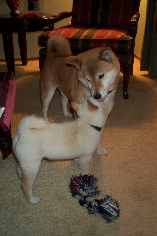 _超长距离骑行：穿越荒野的生命之旅_，长距离骑行对身体有什么影响