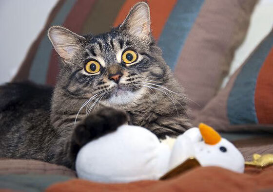 九游网游官网-“绿能未来”青少年篮球环保公益赛在青海举行，倡导绿色运动，jl3×3青少年篮球公开赛